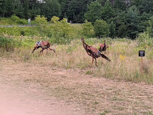 Environmental Organization «VINS Nature Center», reviews and photos, 6565 Woodstock Rd, Quechee, VT 05059, USA