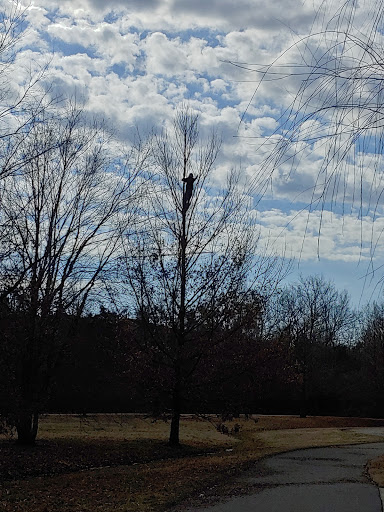 Park «Owl Creek Park», reviews and photos, 9751 Concord Rd, Brentwood, TN 37027, USA