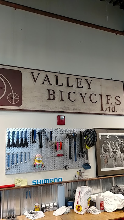 Valley Bike and Ski Werks