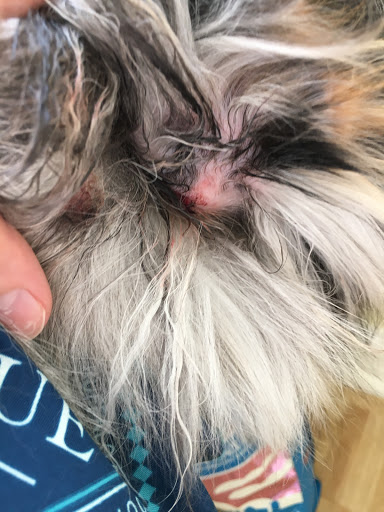 Pet Supply Store «Petco Animal Supplies», reviews and photos, 4950 S 76th St, Greenfield, WI 53220, USA