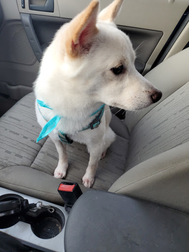 Pet Supply Store «PetSmart», reviews and photos, 4810 1st Ave NE, Cedar Rapids, IA 52402, USA