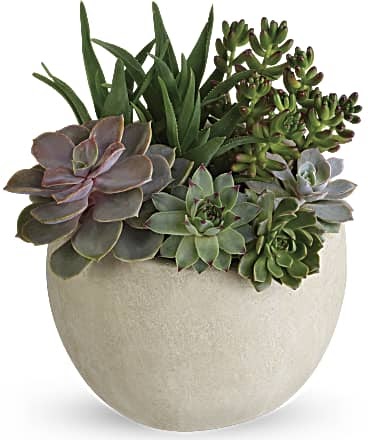 Florist «Bruce Flowers», reviews and photos, 454 Main Ave, Norwalk, CT 06851, USA