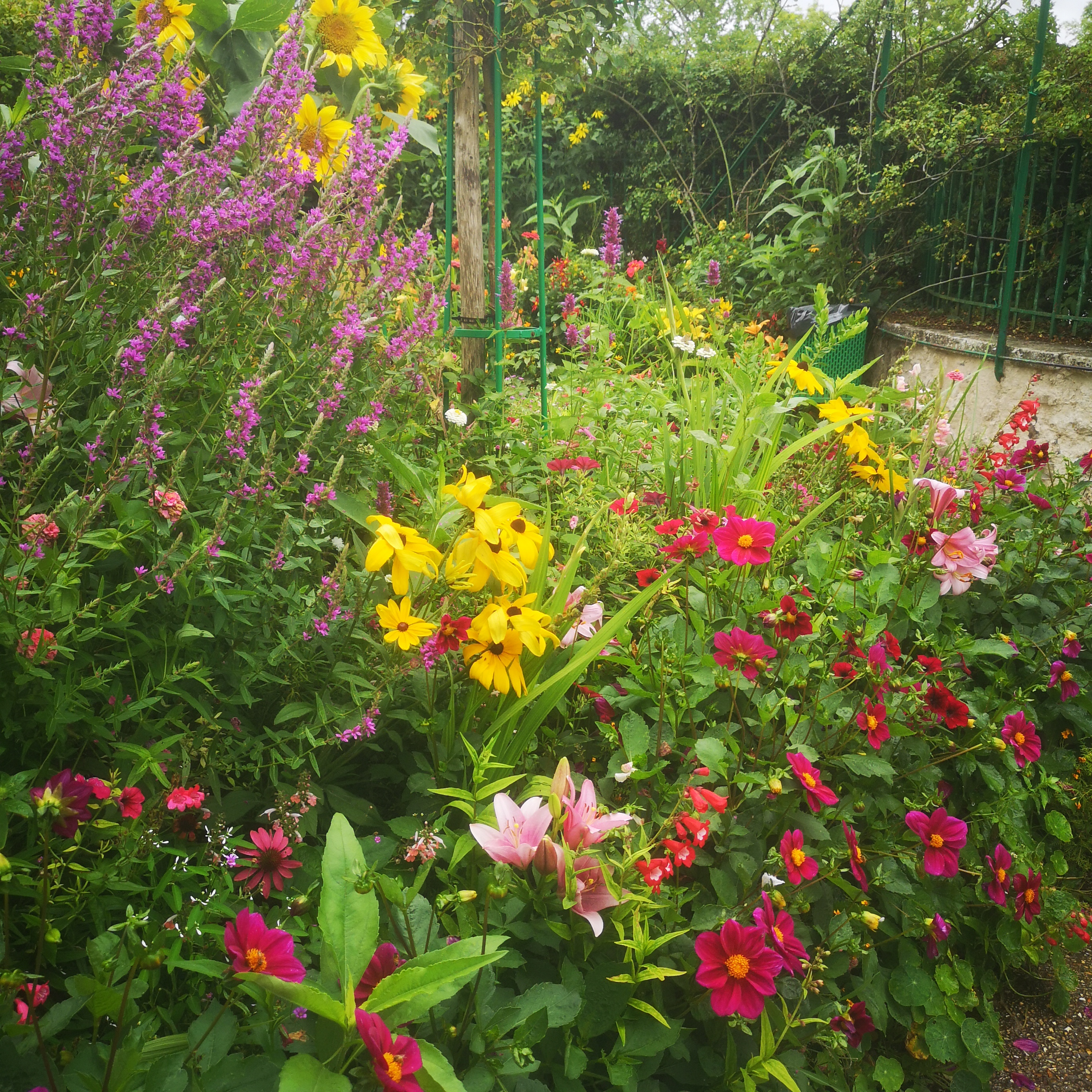 Photo n° 6 de l'avis de Oli.r fait le 28/07/2023 à 09:04