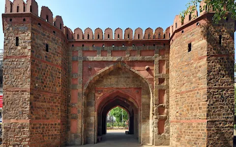 Delhi Gate image