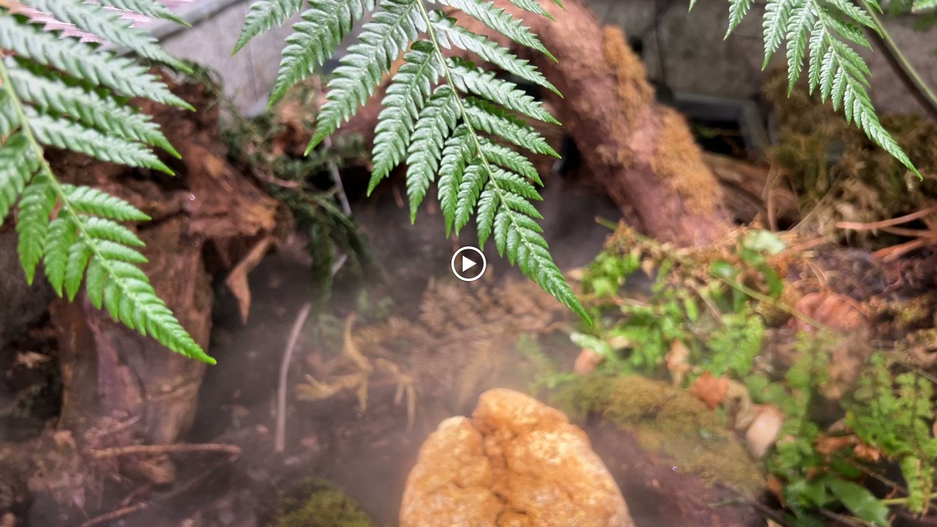 Photo n° 7 de l'avis de Olivier.o fait le 16/11/2023 à 11:02