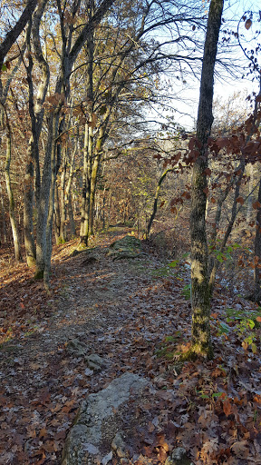 Insulation Contractor «Home Performance Experts», reviews and photos