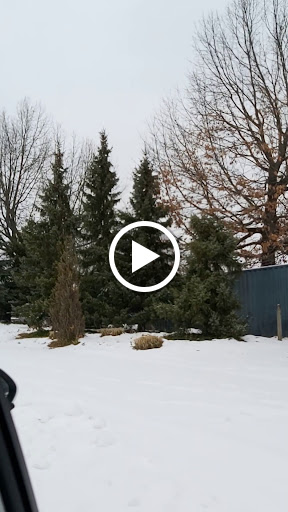 Museum «Holland Museum», reviews and photos, 31 W 10th St, Holland, MI 49423, USA