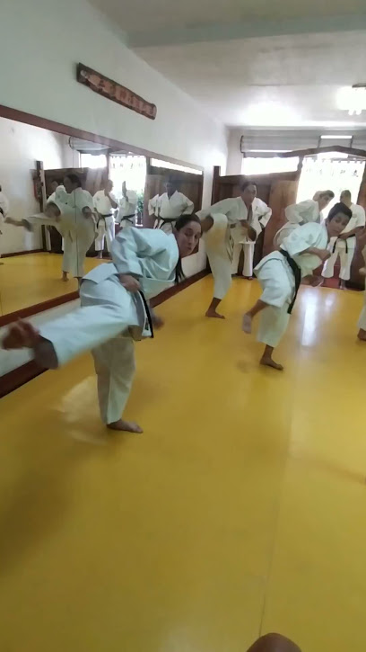 KO BUSHI DO - Karate Do Tradicional