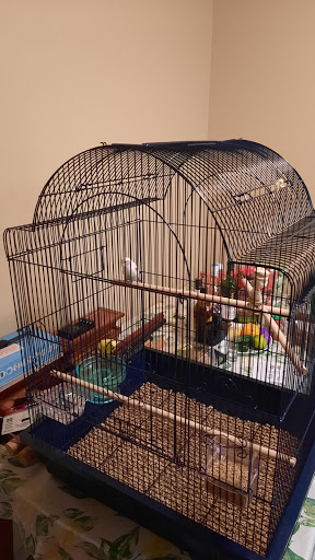 Pet Supply Store «PetSmart», reviews and photos, 1130 SE Everett Mall Way, Everett, WA 98208, USA