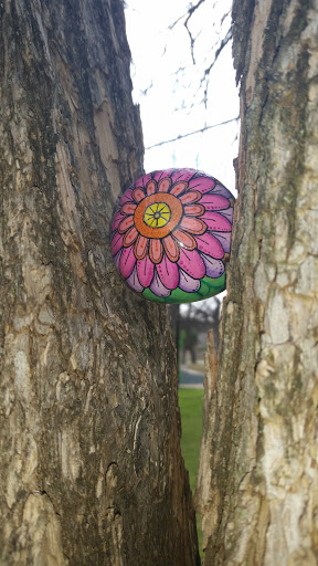 Park «Jaycee - Baker Park», reviews and photos, 500 Belmont Dr, Hurst, TX 76053, USA