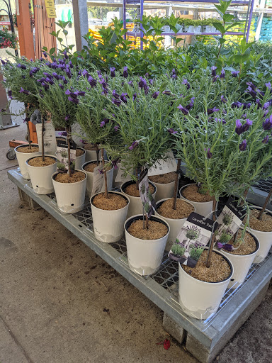 Home Improvement Store «The Home Depot», reviews and photos, 782 PA-113, Souderton, PA 18964, USA