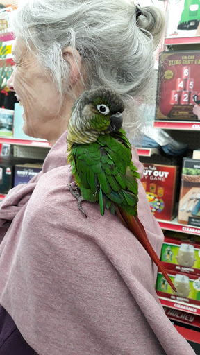 Discount Store «Big Lots», reviews and photos, 1100 Brighton Ave, Portland, ME 04102, USA