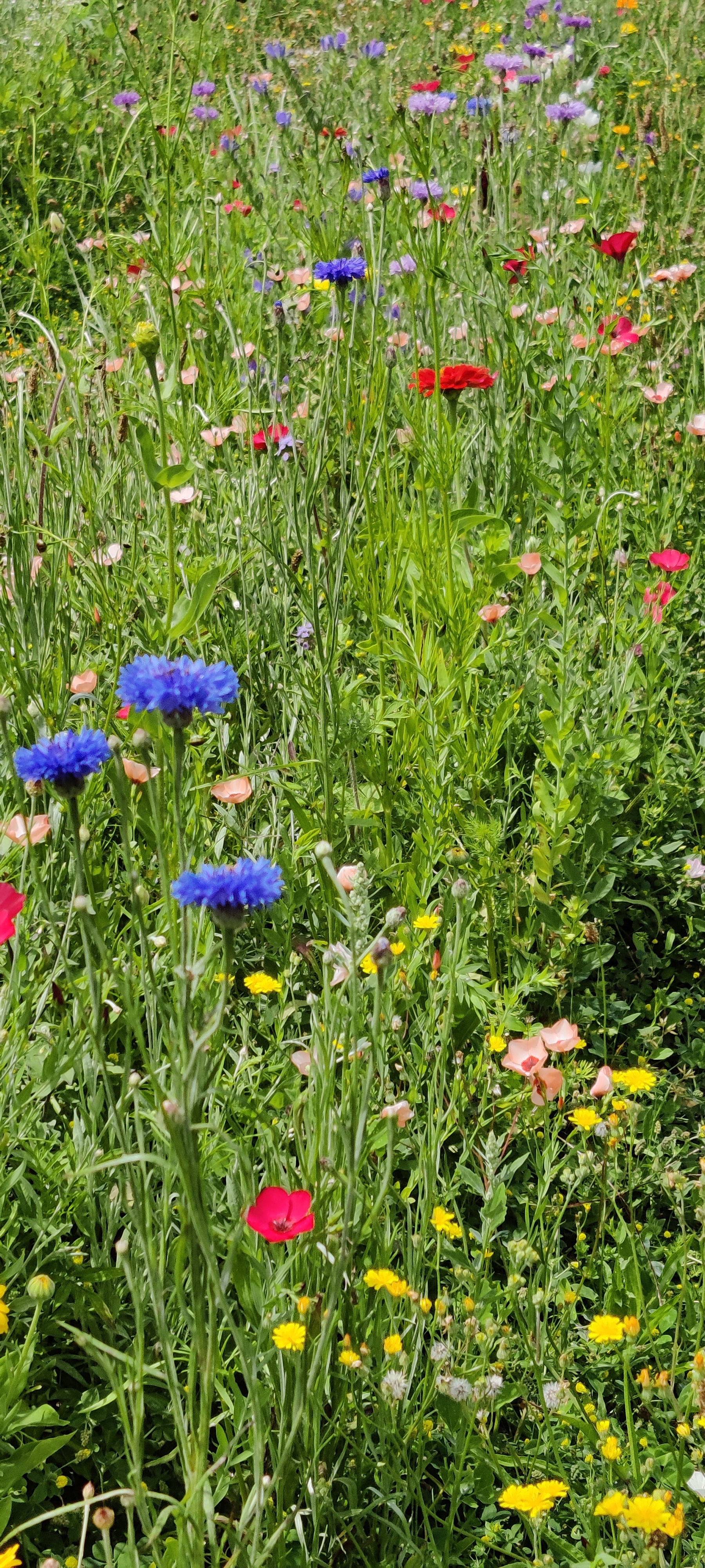 Photo n° 3 de l'avis de François.o fait le 26/06/2022 à 17:55