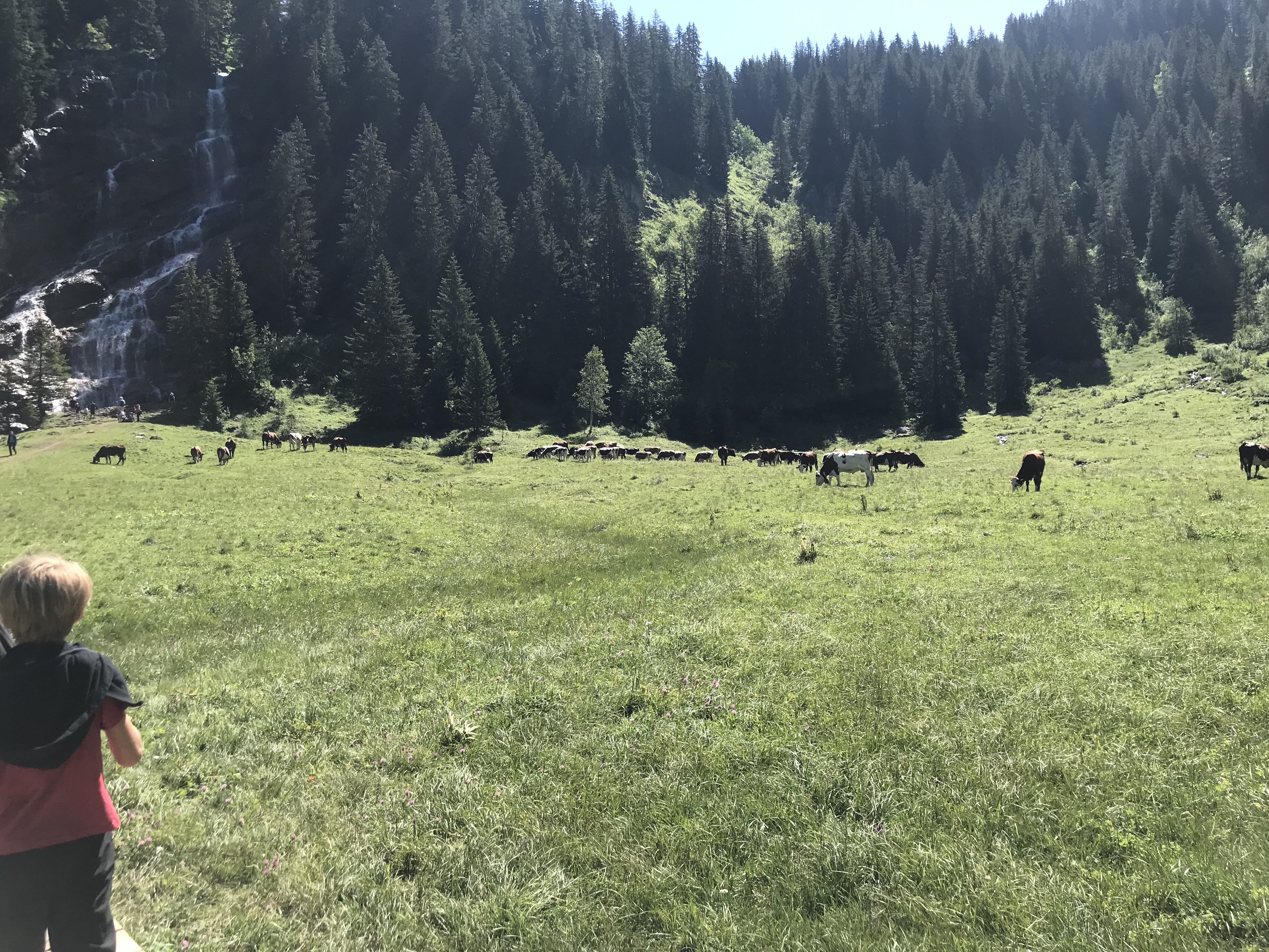 Photo n° 1 de l'avis de Bastien.a fait le 30/07/2021 à 07:15