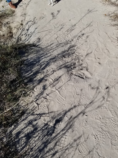 Gift Shop «Dinosaur Valley State Park Store», reviews and photos, 1629 Park Rd 59, Glen Rose, TX 76043, USA