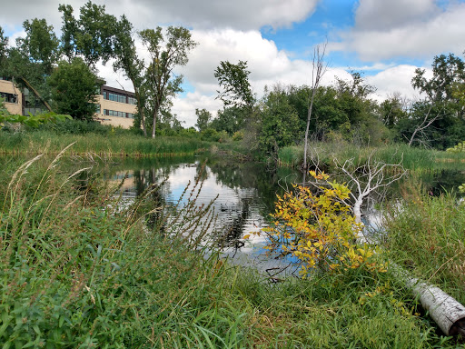 Park «Bass Lake Park», reviews and photos, 3450 Glenhurst Ave, Minneapolis, MN 55416, USA