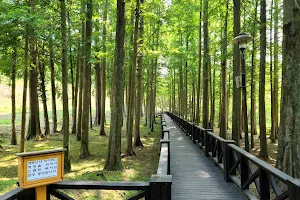 The Gwangju Ecological Lake Park image