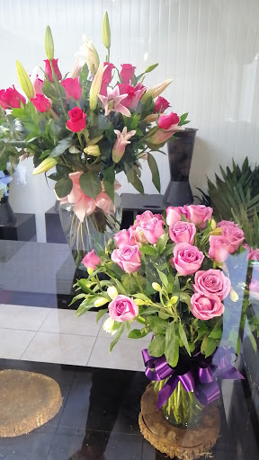 Flor y Canto – Saltillo