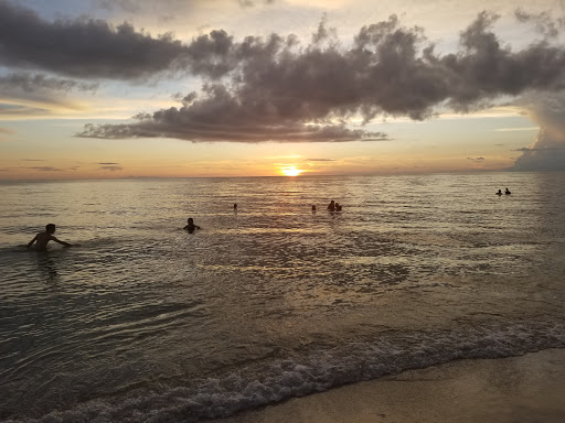 Bar «Beach Box Cafe», reviews and photos, 9020 Gulf Shore Dr, Naples, FL 34108, USA