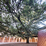 Photo n°9 de l'avis de Elisabetta.c fait le 25/07/2023 à 21:51 sur le  Roots à Modena