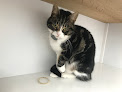 Whitehouse Cattery