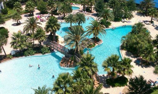 Photo of White Ox Construction Inc.