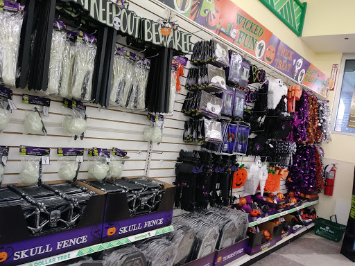 Dollar Store «Dollar Tree», reviews and photos, 1551 Missouri Ave N, Largo, FL 33770, USA