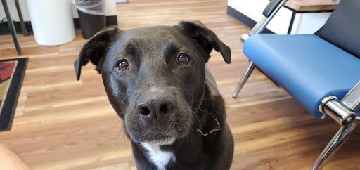 Auto Repair Shop «Schmidt Auto Care», reviews and photos, 817 W Central Ave, Springboro, OH 45066, USA