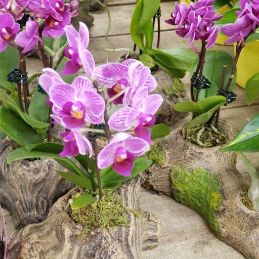 Home Improvement Store «The Home Depot», reviews and photos, 1590 W 49th St, Hialeah, FL 33012, USA