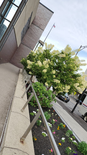 Charity «Chester F. Carlson MetroCenter YMCA», reviews and photos, 444 E Main St, Rochester, NY 14604, USA