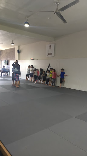 Chula Vista Jiu Jitsu Club