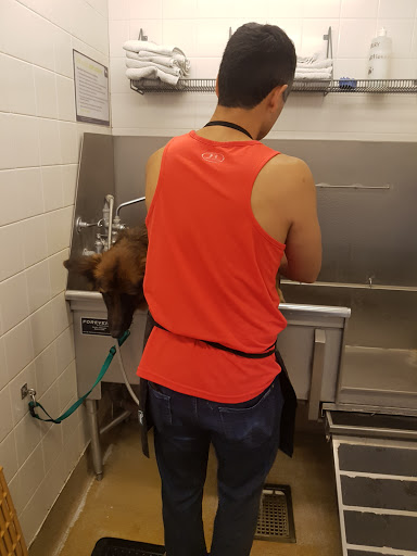 Pet Supply Store «Petco Animal Supplies», reviews and photos, 200 Triangle Shopping Center #230, Longview, WA 98632, USA