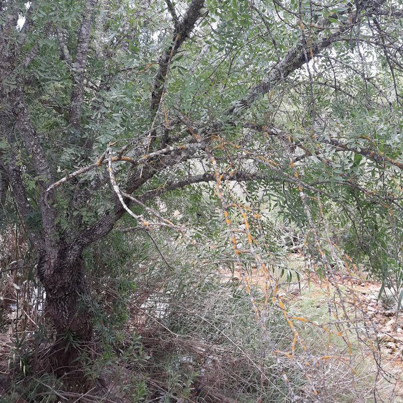 5 image