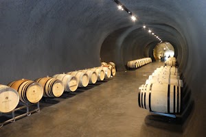 Italics Winegrowers - photo 2
