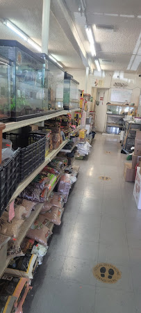 La Habra Exotic Pets - Photo 7 - Car repair in La Habra, CA, Long Beach