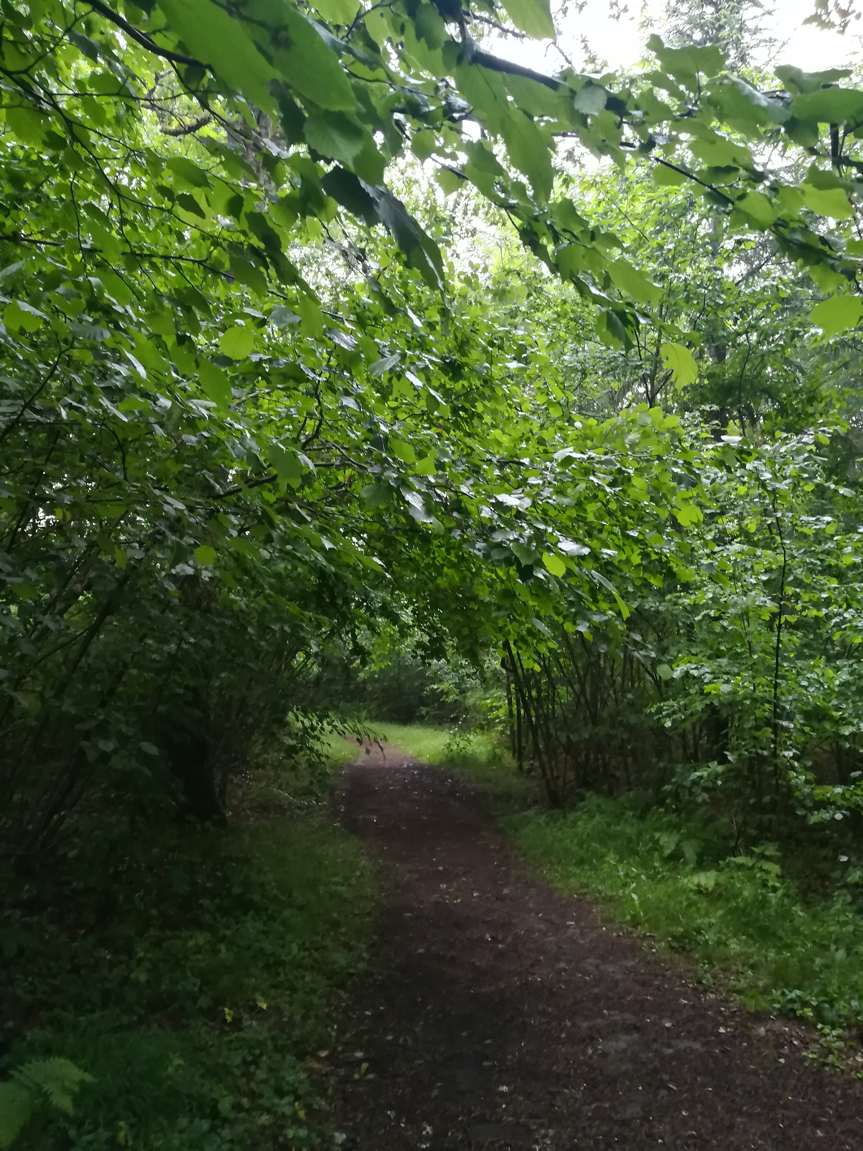 Photo n° 8 de l'avis de Nathalie.e fait le 17/06/2019 à 19:40