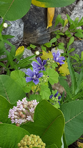 Home Improvement Store «Tractor Supply Co.», reviews and photos, 1352 Michigan Ave, Benzonia, MI 49616, USA