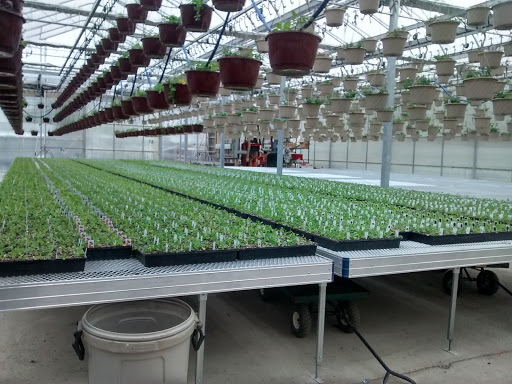 Mitchell Greenhouses image 5