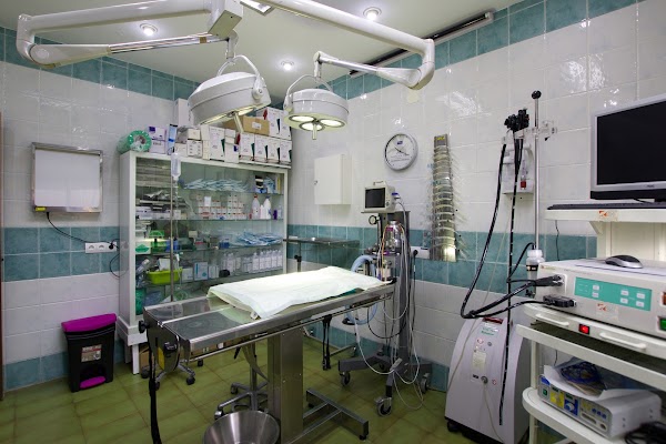 Clínica Veterinaria Dr. Galacho