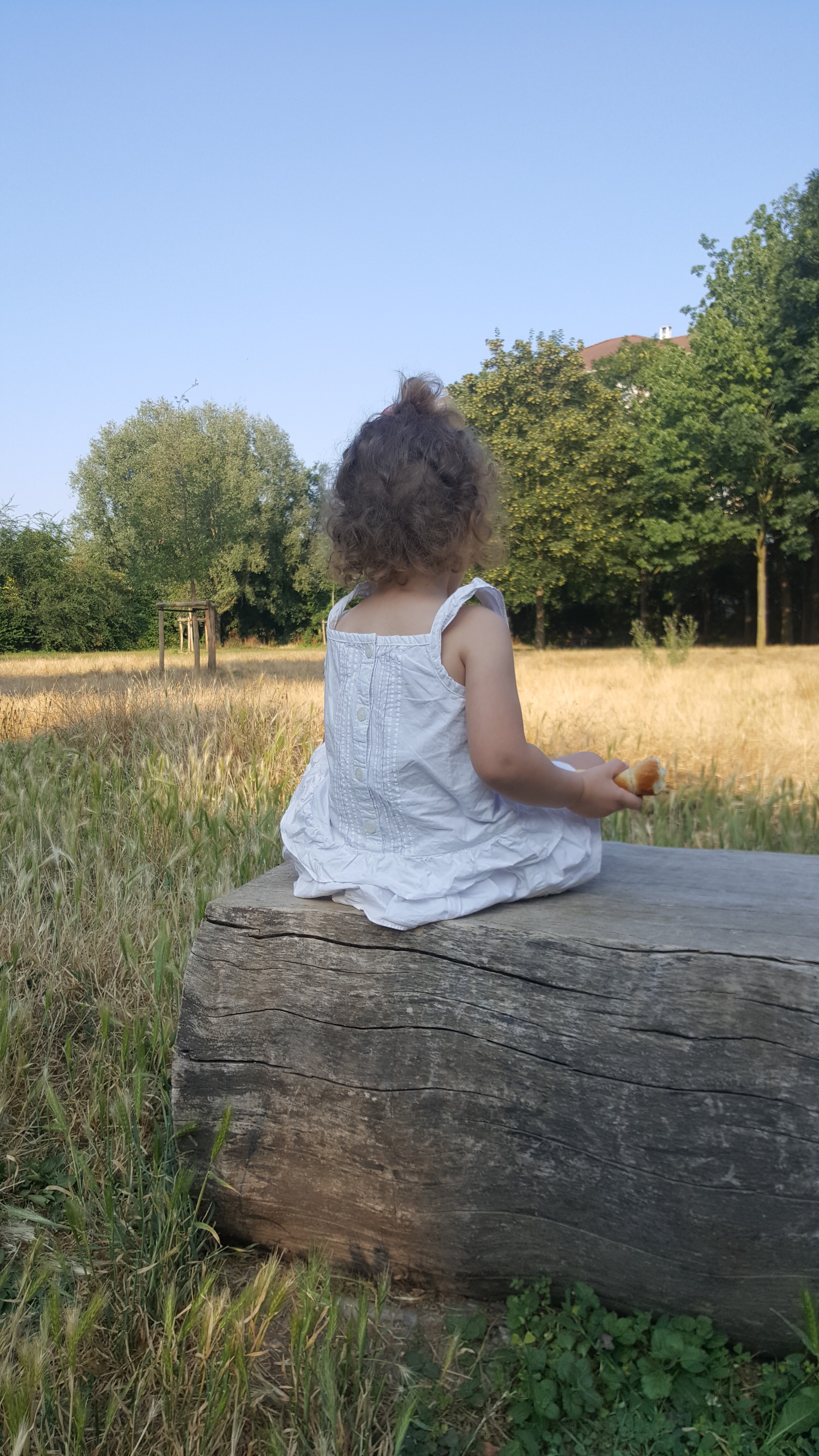 Photo n° 1 de l'avis de Kit.a fait le 29/07/2018 à 13:28