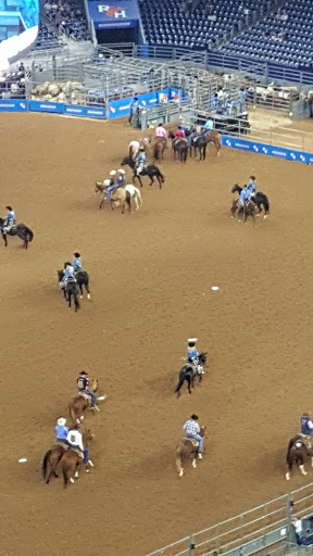 Stadium «NRG Stadium», reviews and photos, NRG Pkwy, Houston, TX 77054, USA