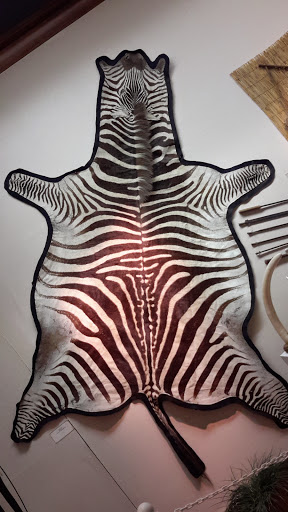 Museum «International Museum of Art», reviews and photos, 1211 Montana Ave, El Paso, TX 79902, USA