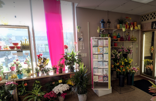 Florist «Alfa Flower Shop», reviews and photos, 7001 W North Ave, Wauwatosa, WI 53213, USA