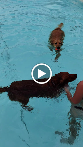 Water Park «Indianola Veterans Memorial Aquatic Center», reviews and photos