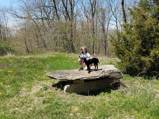 Nature Preserve «Cotton Hollow Preserve», reviews and photos, 493 Hopewell Rd, South Glastonbury, CT 06073, USA