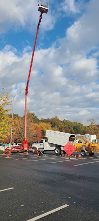Top Notch Tree - Photo 8 - Car repair in , Asheville