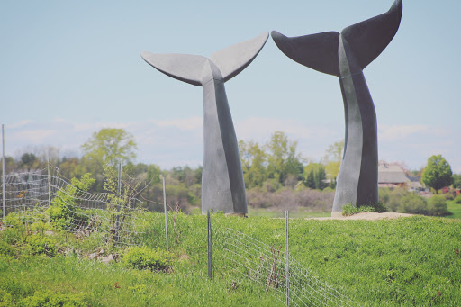 Monument «Reverence (Whales Tails)», reviews and photos, I-89, South Burlington, VT 05403, USA