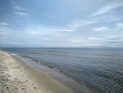 Benona Township Beach photo #6