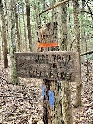 Mt Cresson - photo 2