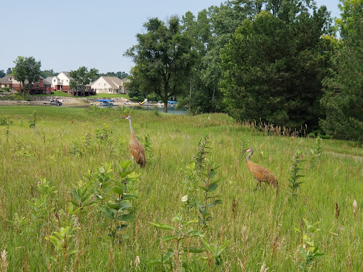 Golf Club «Boulder Pointe Golf Club», reviews and photos, 1 Champions Cir, Oxford, MI 48371, USA